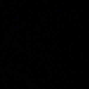 Meet your Posher, Iza